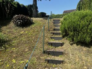 tonte pelouse vaux sur seine 2