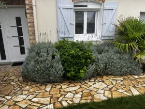 taille massif vaux sur seine