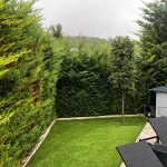 taille thuyas vaux sur seine 2