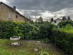 abattage figuier triel sur seine 2