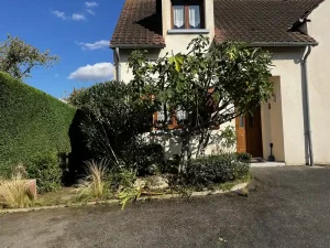 taille figuier laurier rose triel sur seine 78