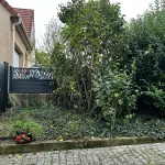 abattage arbre ecquevilly 2