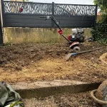 abattage arbre ecquevilly 3