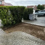 abattage arbre ecquevilly 4