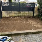 abattage arbre ecquevilly 6