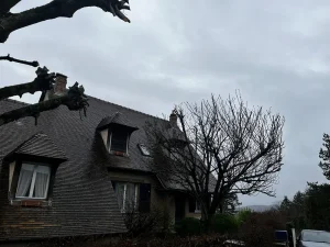 elagage cerisier 78 3