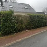 arrachage haie verneuil sur seine