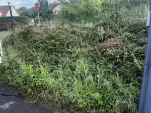 deracinage maccif vaux sur seine 2