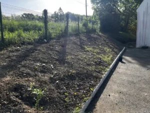 deracinage maccif vaux sur seine apres 2