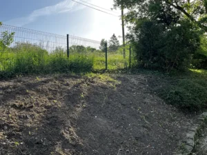 deracinage maccif vaux sur seine apres 3