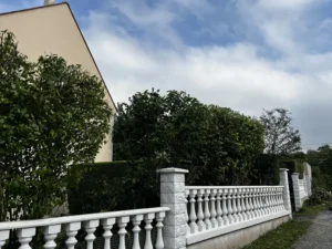 taille arbustes triel sur seine 2