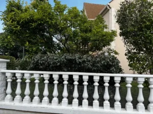 taille arbustes triel sur seine