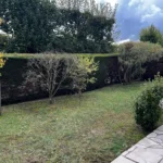 taille thuyas verneuil sur seine 2