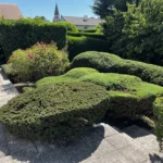 entretien arbuste orgeval 78