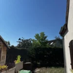 abattage arbre verneuil sur seine 2