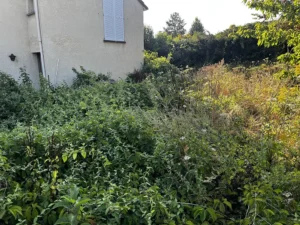 debroussaillage terrain vernouillet 3