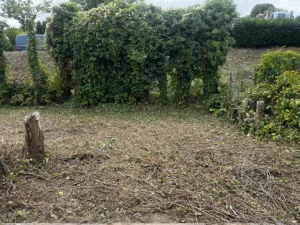 debroussaillage terrain vernouillet 5