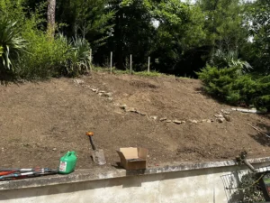 nettoyage massif vaux sur seine 4