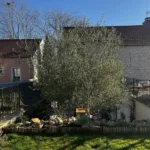 taille arbre vernouillet