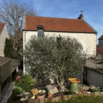 taille arbre vernouillet 78 2