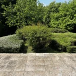 taille arbuste orgeval 4