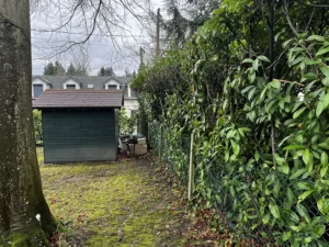 taille de haie villennes sur seine