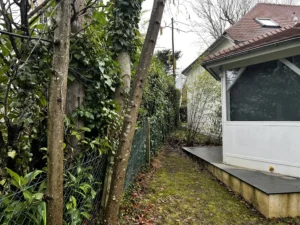 taille de haie villennes sur seine 4