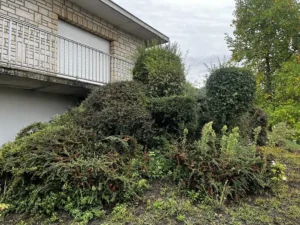 taille arbuste triel sur seine 3