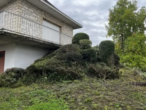 taille arbuste triel sur seine 5