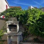 rabattage glycine chanteloup les vignes 2