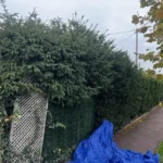 taille de haie flins sur seine