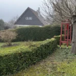 entretien haies mezy sur seine 78 8