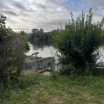 taille de noisetier vaux sur seine apres