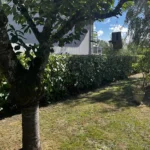 taille de noisetier vaux sur seine apres 2