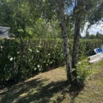 taille de noisetier vaux sur seine apres 3