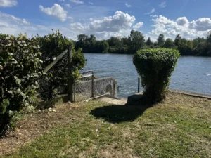 taille de noisetier vaux sur seine apres 4