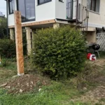 taille de noisetier vaux sur seine avant 3