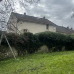 Taille de plusieurs arbustes Triel a Triel-sur-Seine 78510 - realisation