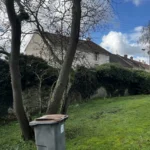 Taille de plusieurs arbustes Triel Triel-sur-Seine 78510 - photo 9