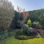 Taille haies et arbustes Verneuil Verneuil-sur-Seine 78480 - finitions