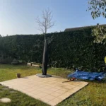 Taille haies et arbustes Verneuil Verneuil-sur-Seine 78480 - photo 7